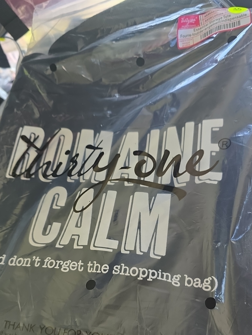 NEW Thirty-one Essential Storage Tote in romaine calm